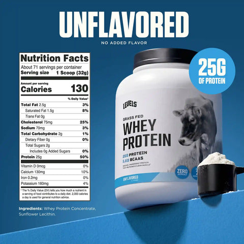 Whey Protein