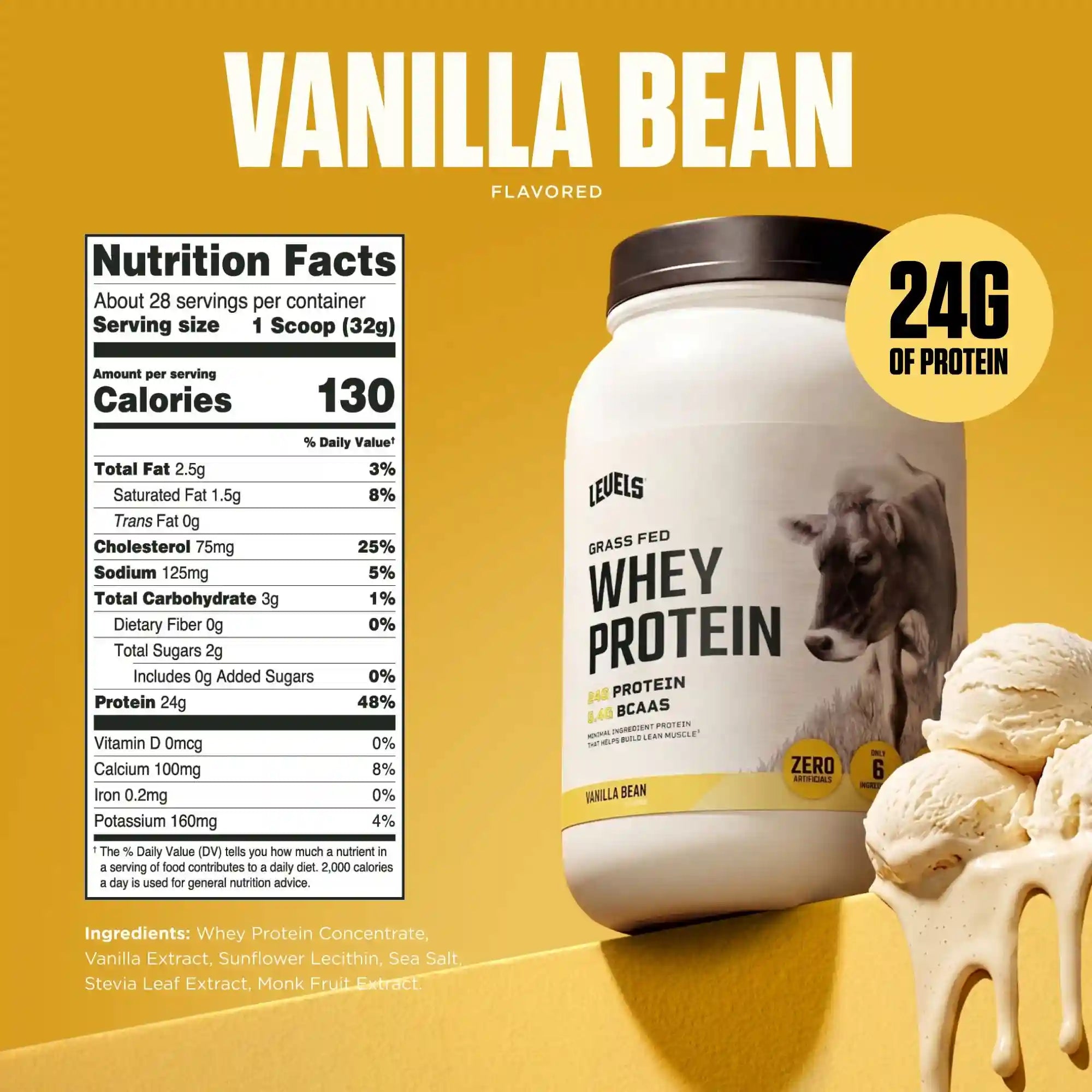 Whey Protein
