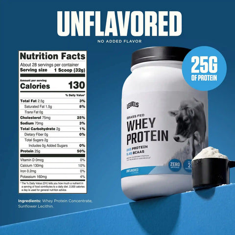 Whey Protein