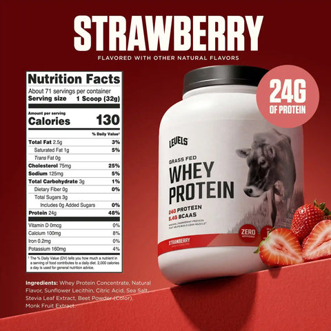 Whey Protein