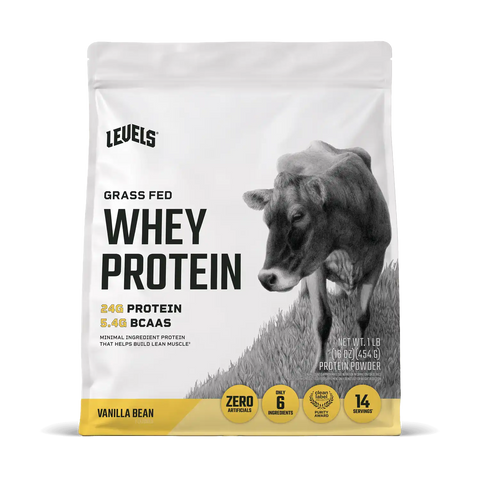 Whey Protein