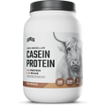 Casein Protein