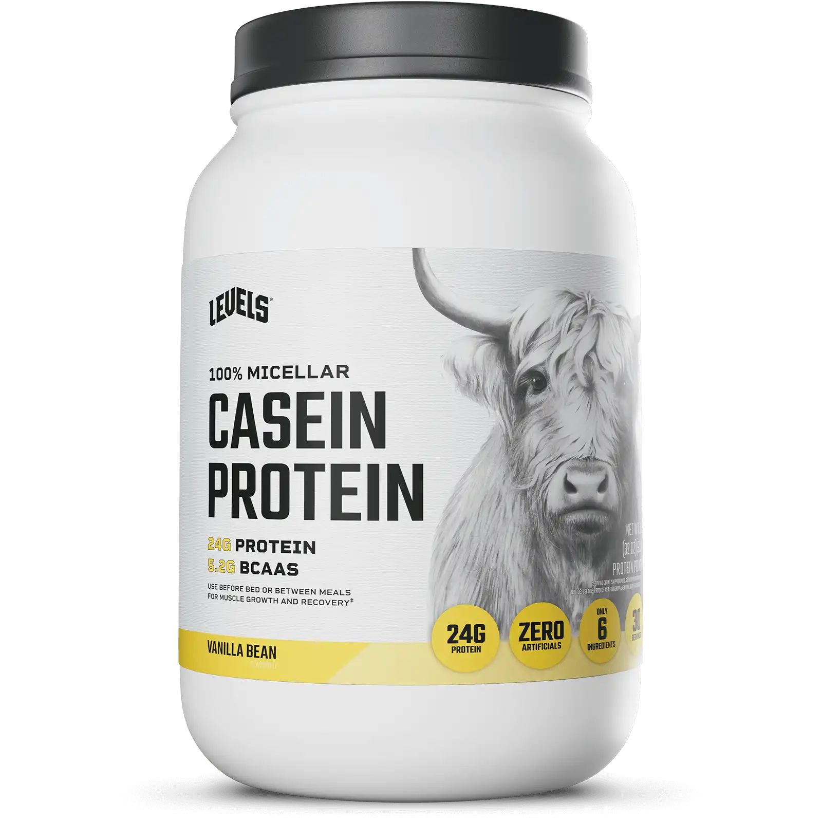 Casein Protein