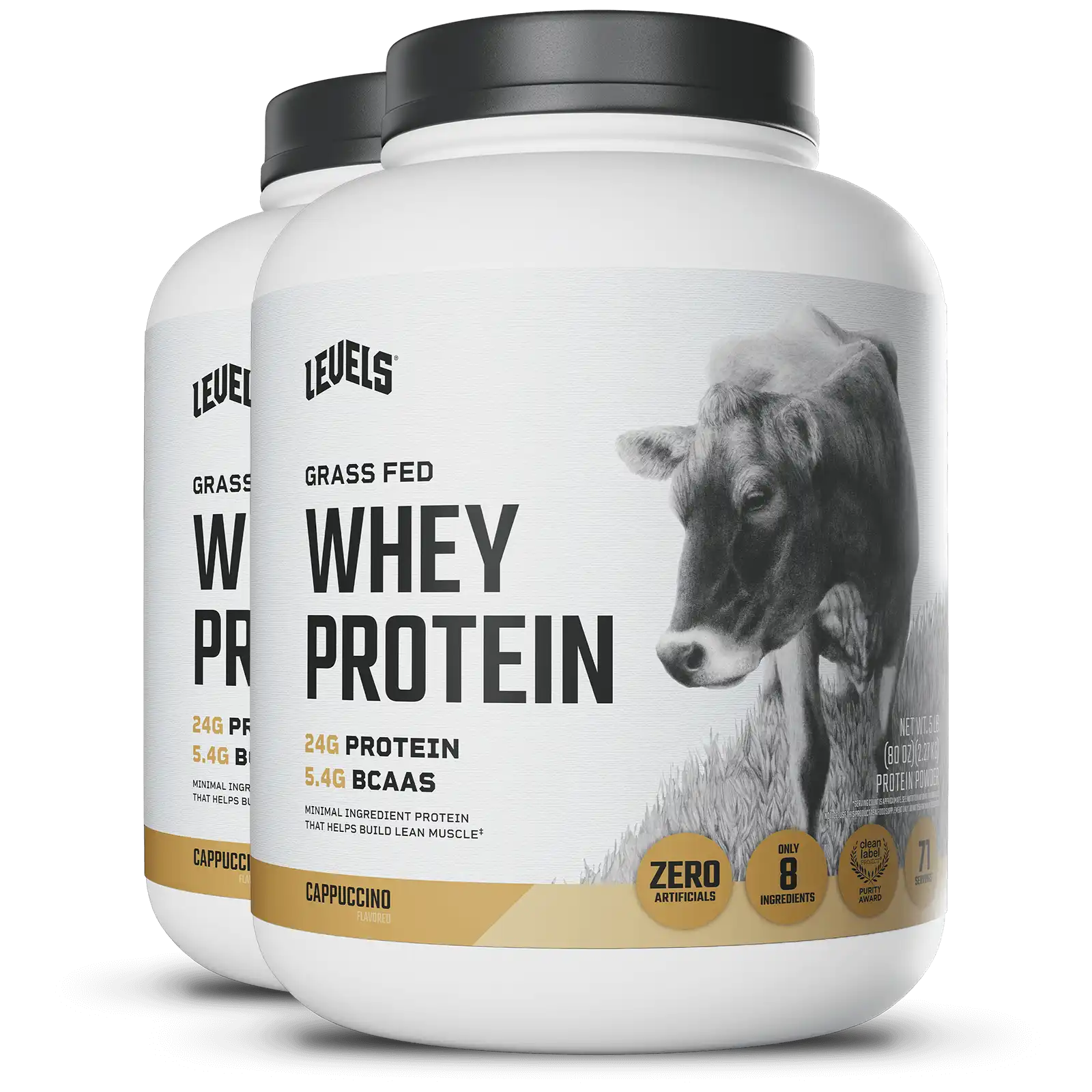 Whey Protein