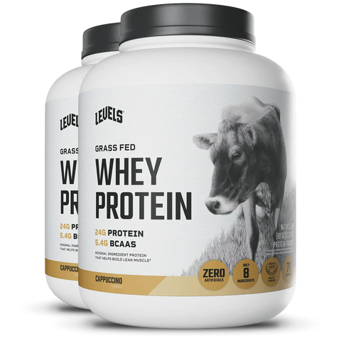 Whey Protein