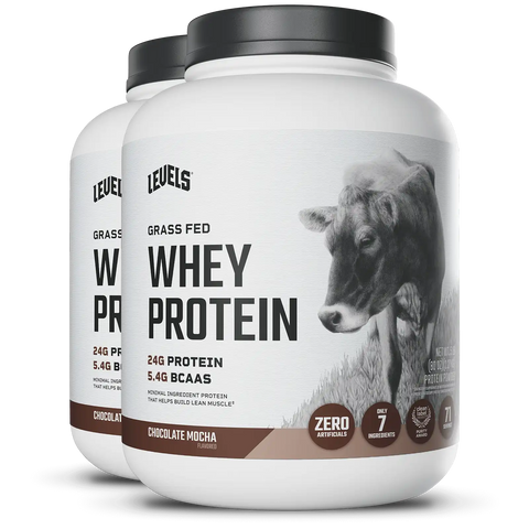 Whey Protein