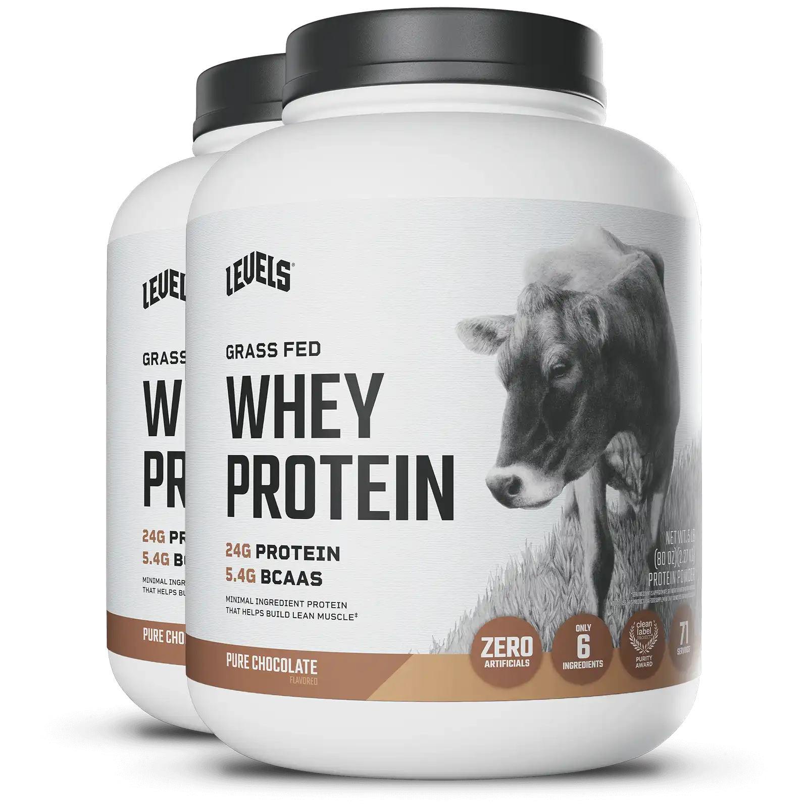 Whey Protein