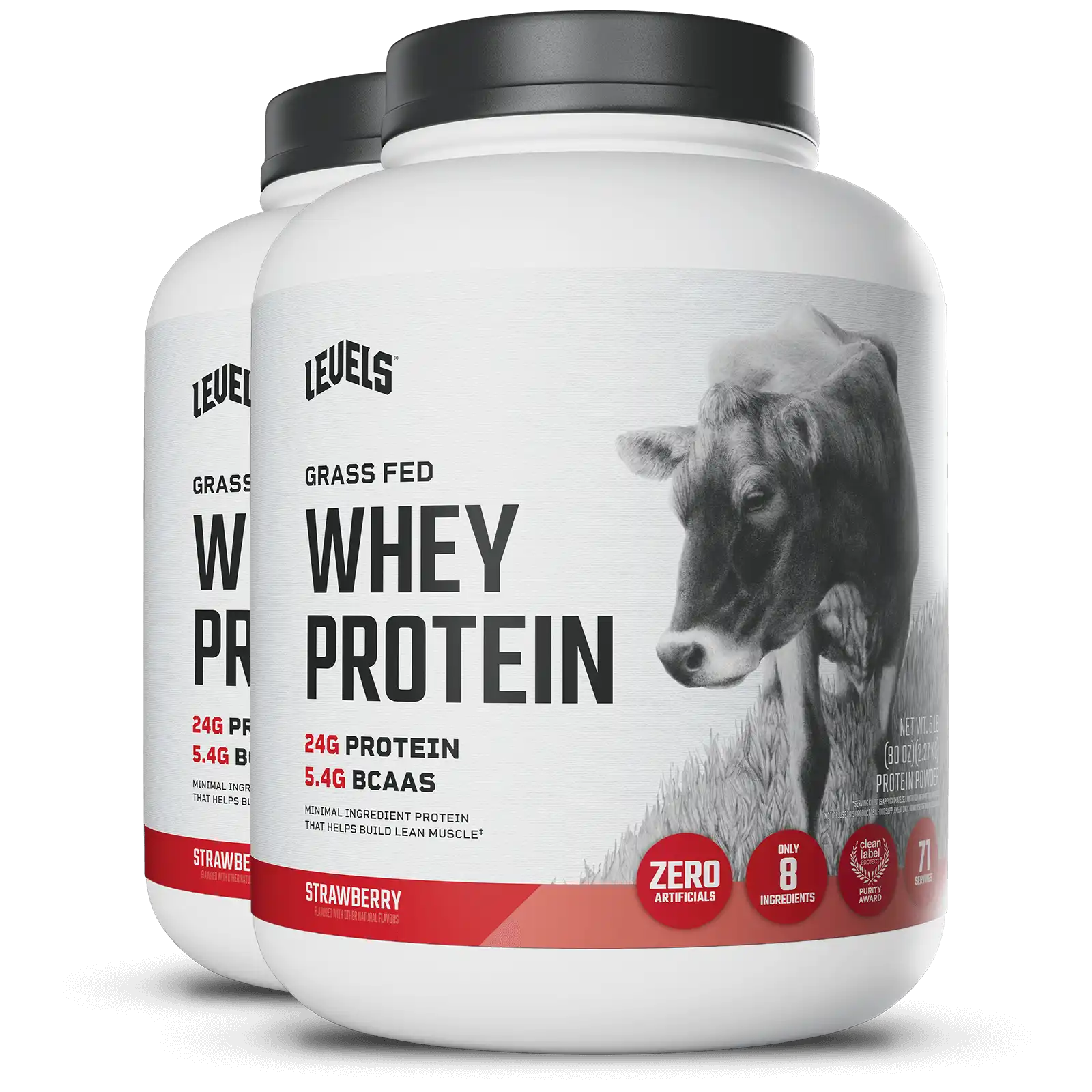 Whey Protein
