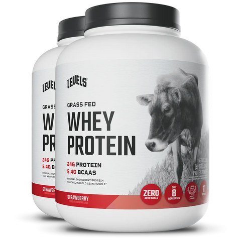 Whey Protein