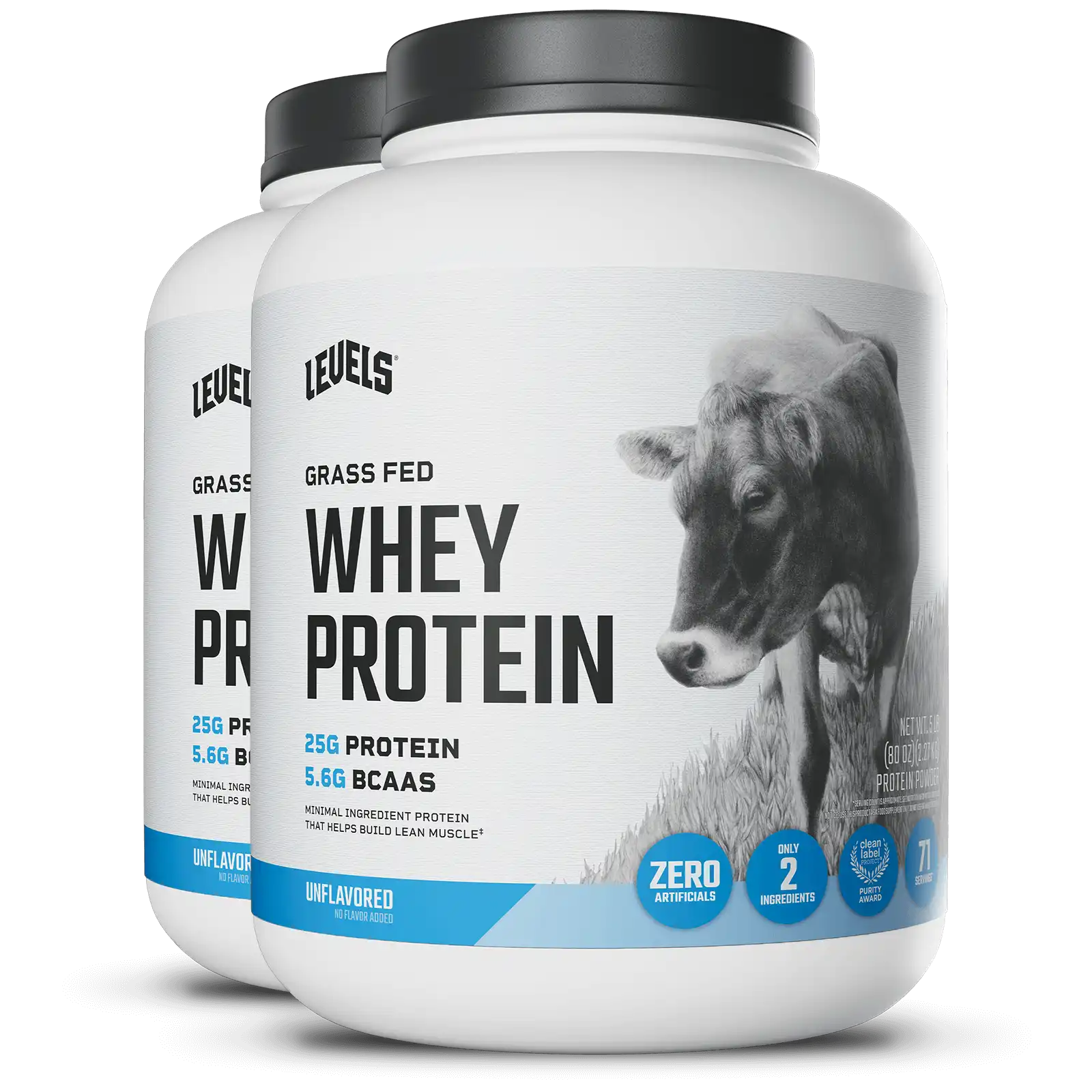 Whey Protein