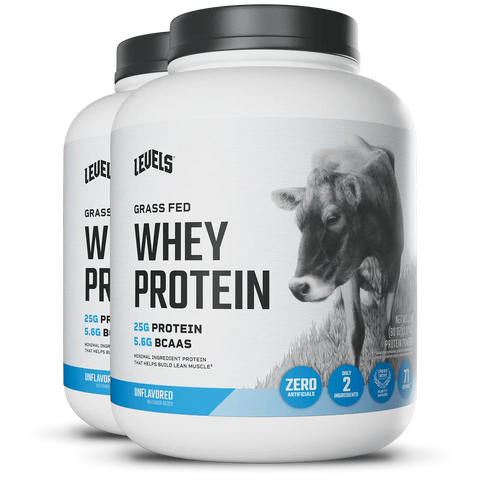 Whey Protein