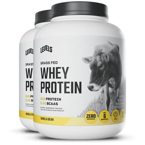 Whey Protein