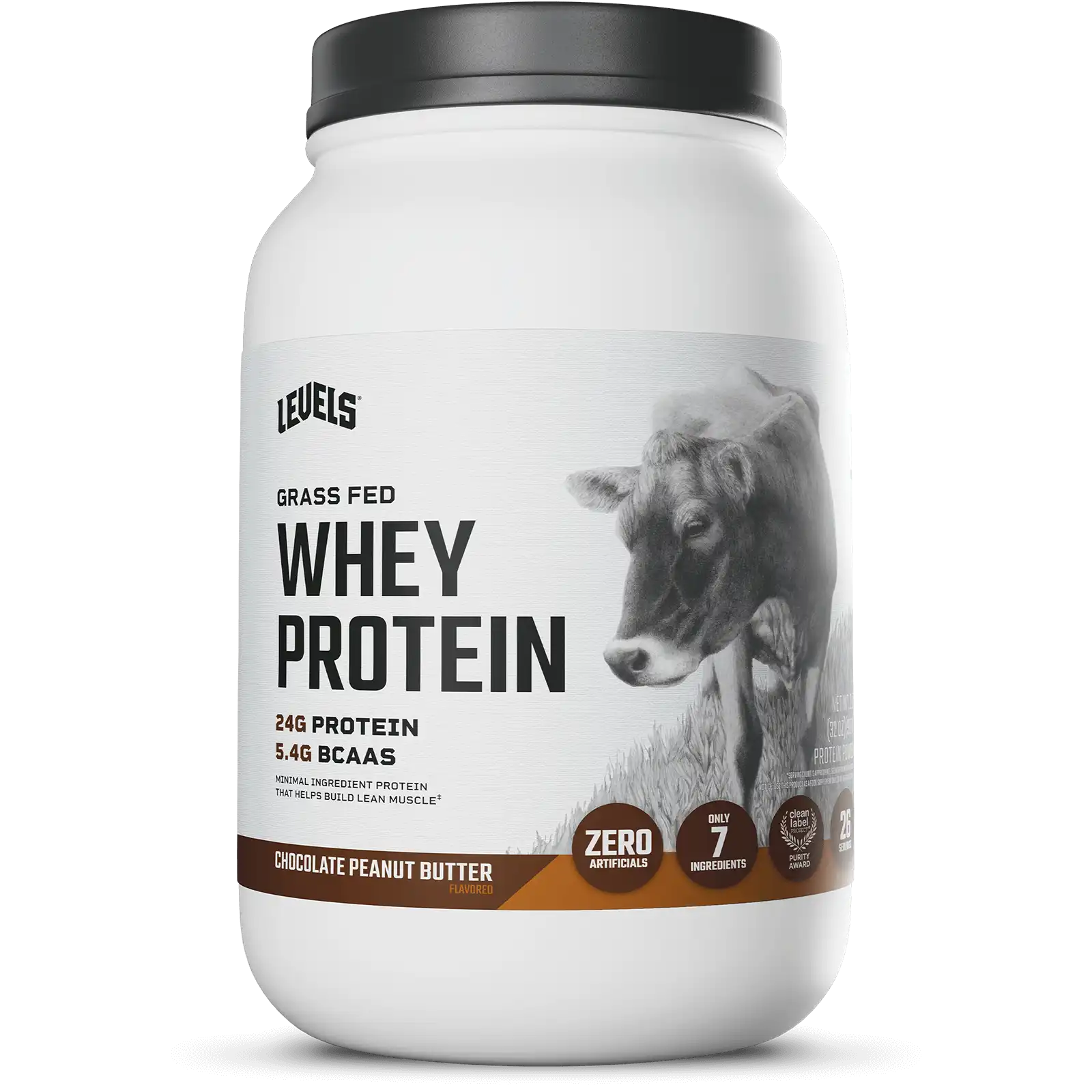 Whey Protein