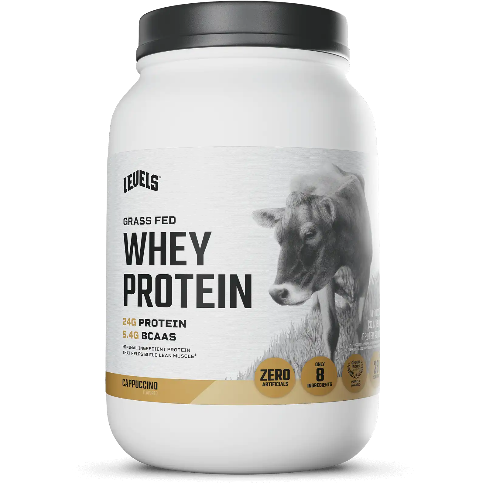 Whey Protein