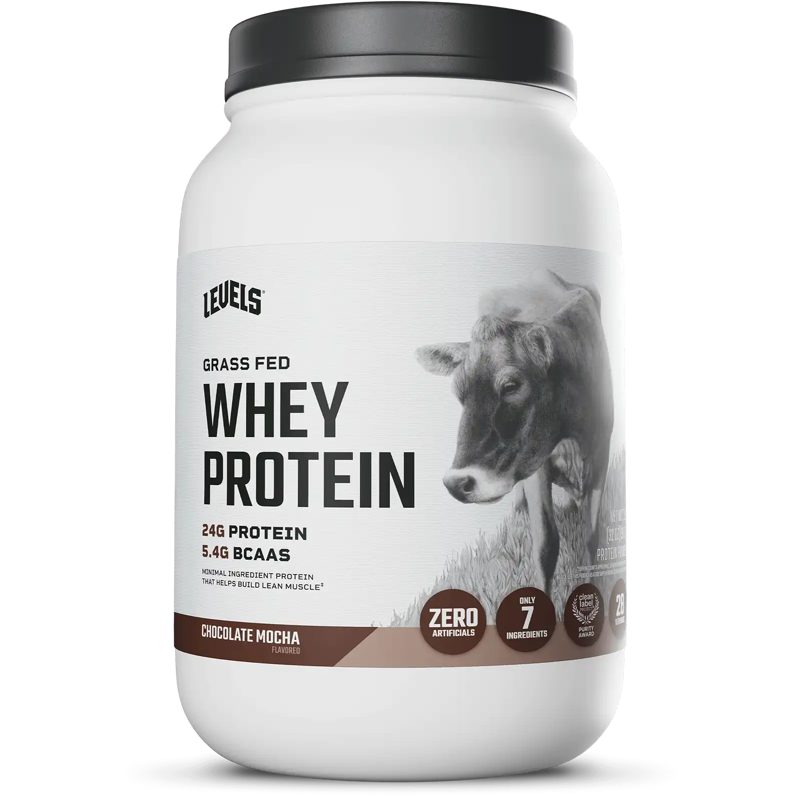 Whey Protein