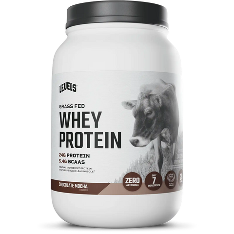Whey Protein