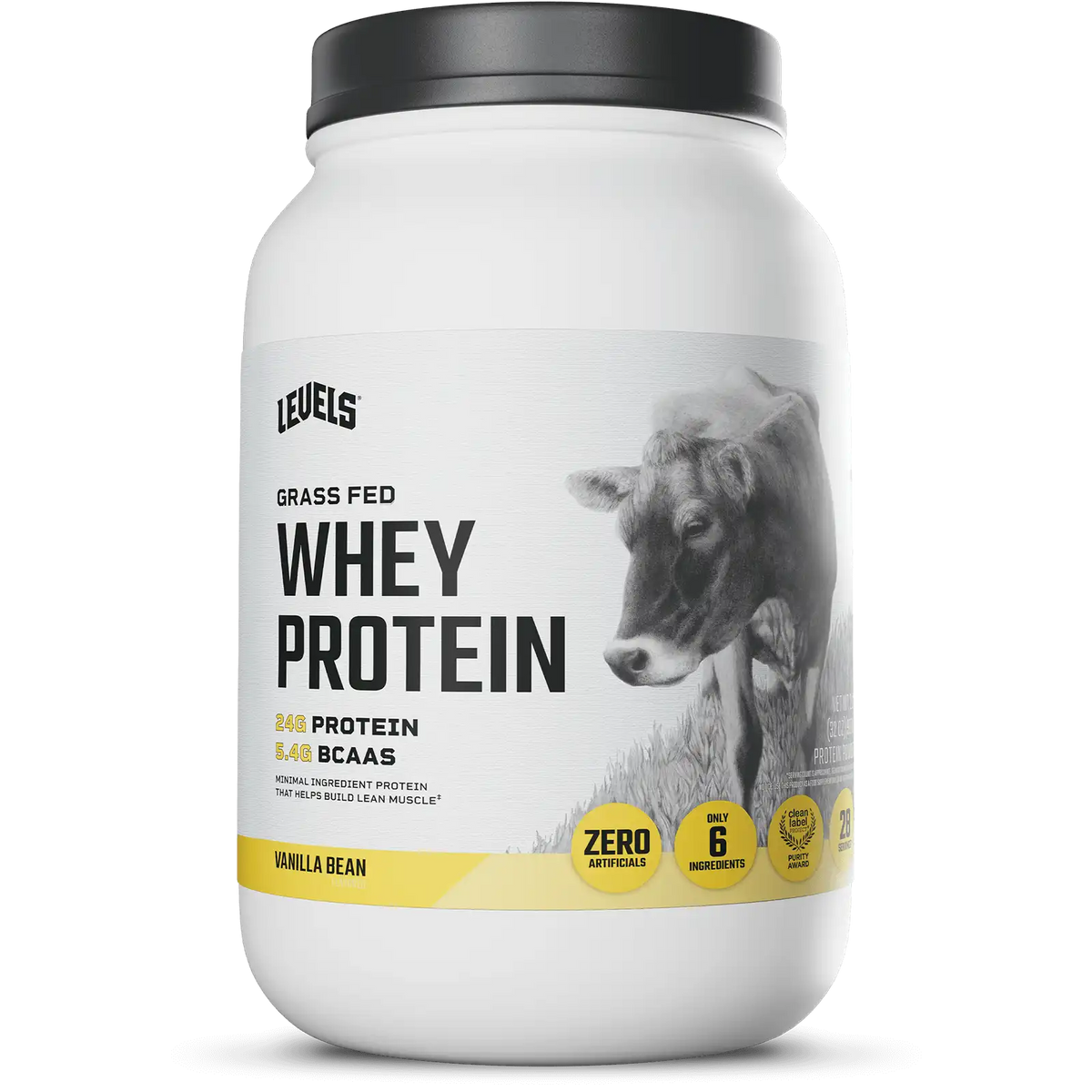 Whey Protein