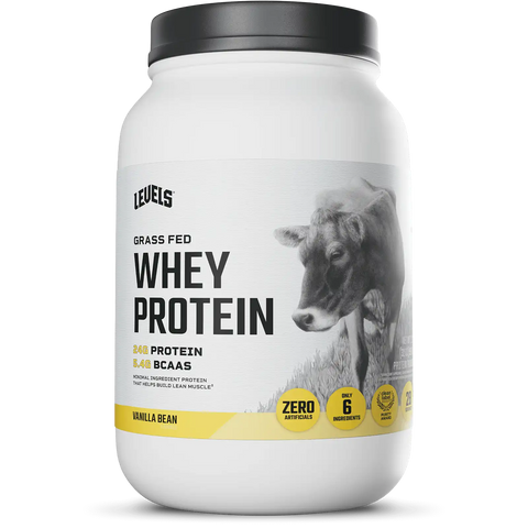 Whey Protein