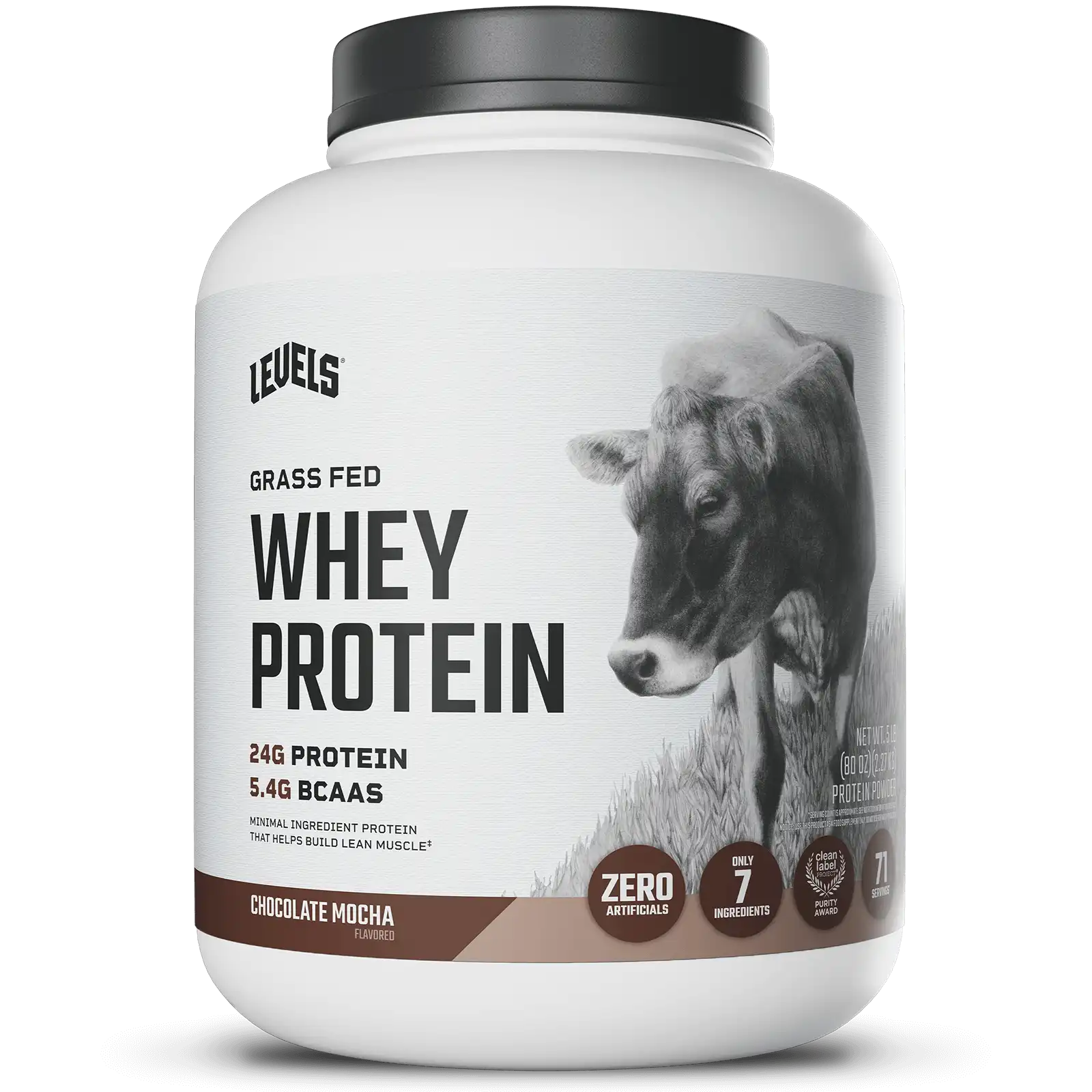 Whey Protein
