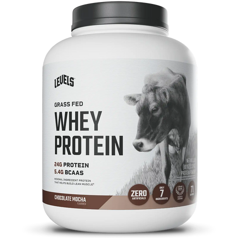 Whey Protein