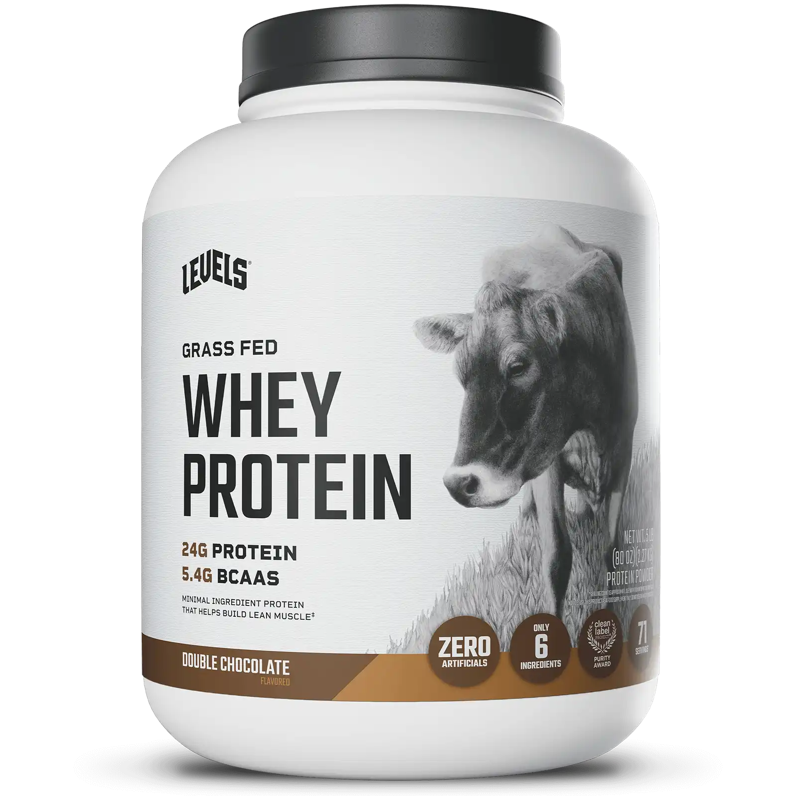Whey Protein