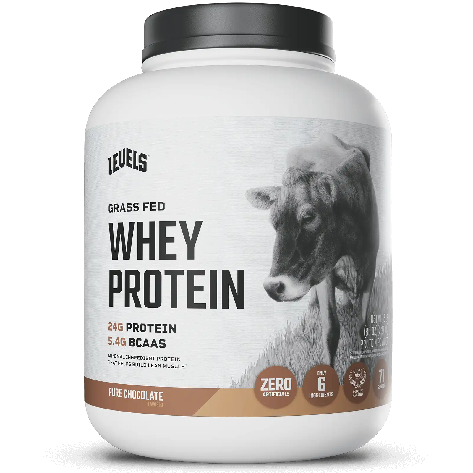 Whey Protein