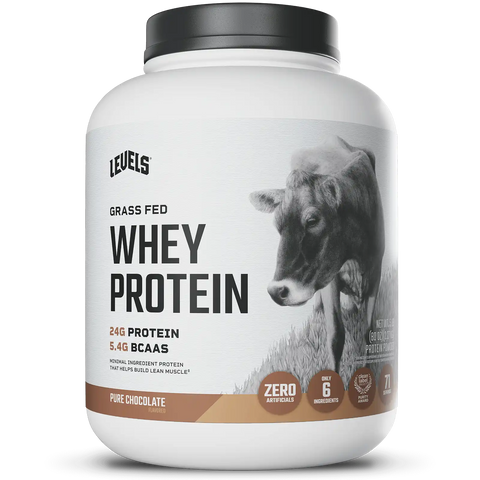 Whey Protein