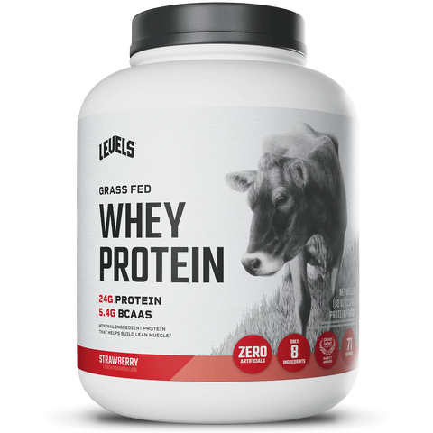 Whey Protein