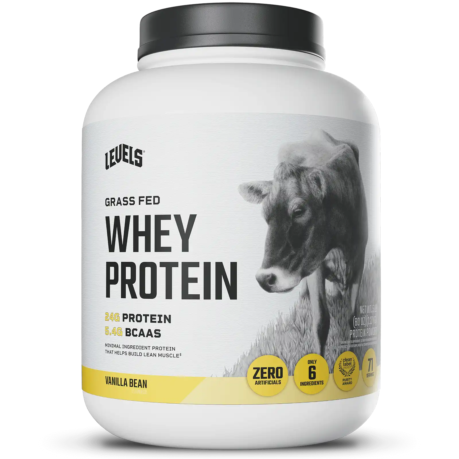 Whey Protein
