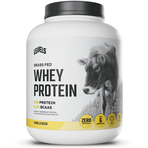 Whey Protein
