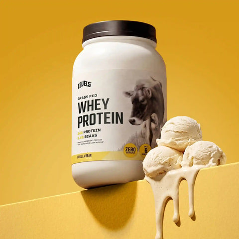 Whey Protein