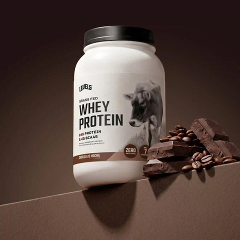 Whey Protein