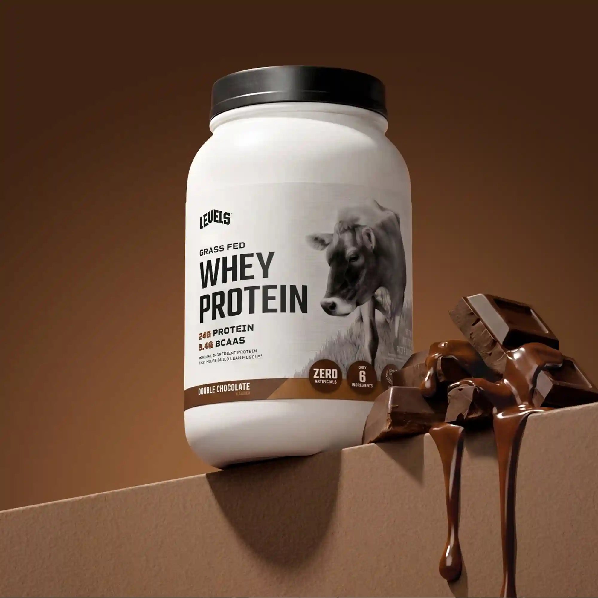 Whey Protein