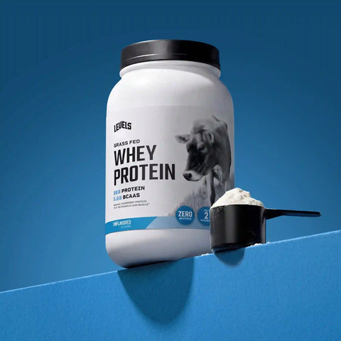 Whey Protein