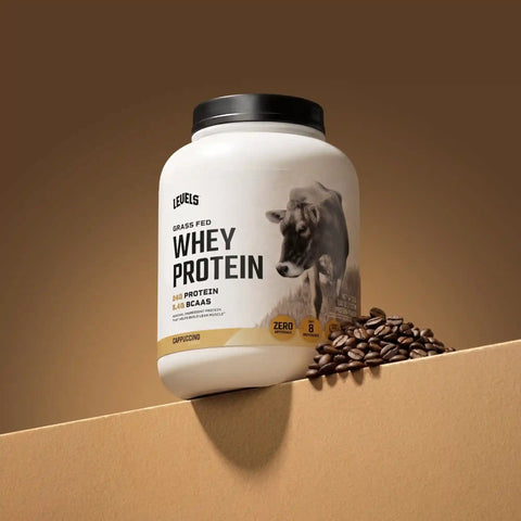 Whey Protein