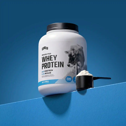 Whey Protein